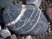 Ovaler grauer Stein mit weißen Ringen